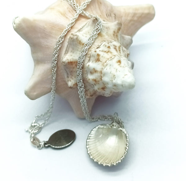 Cockle Shell necklace - silver