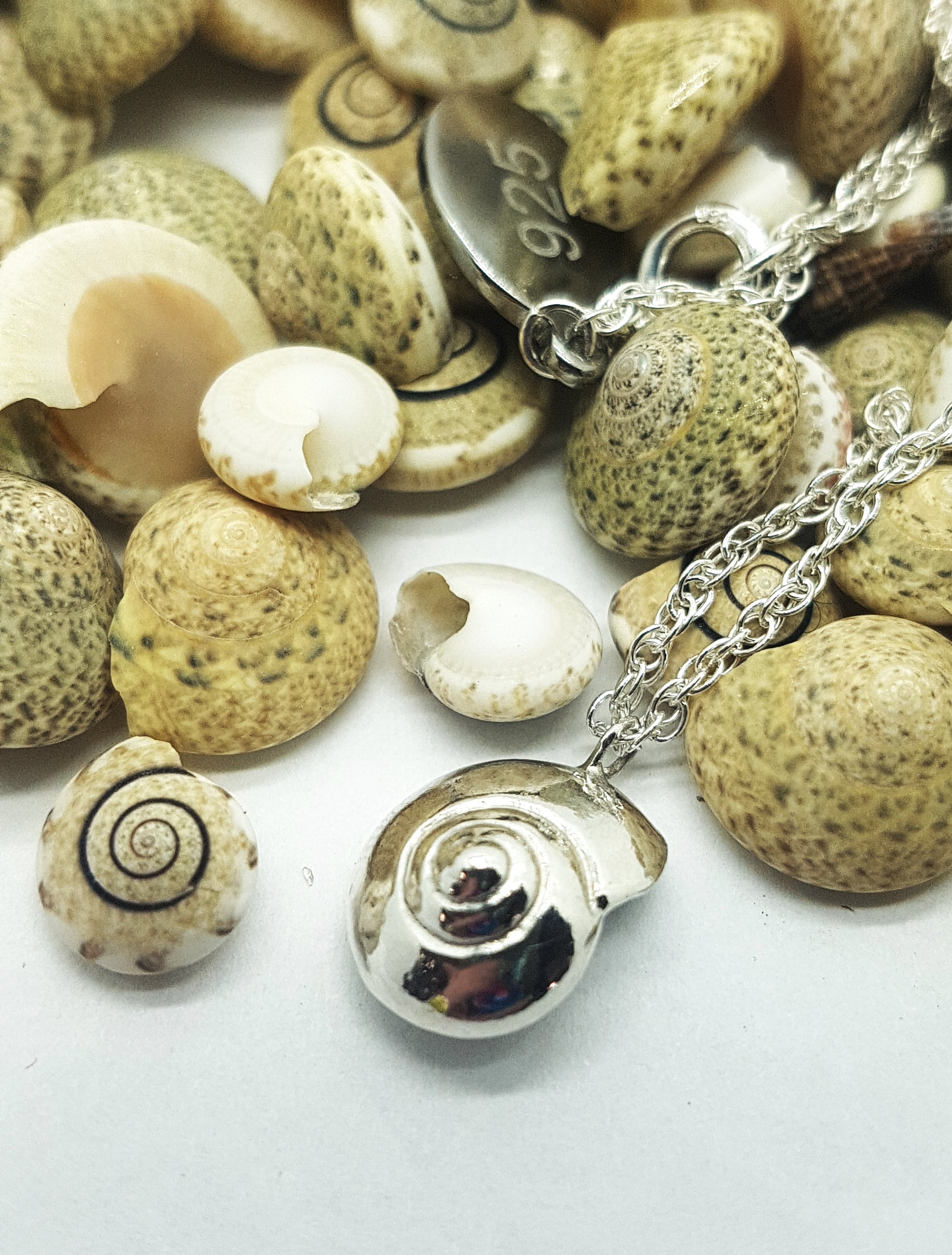 Whorled Silver Shell - Necklace