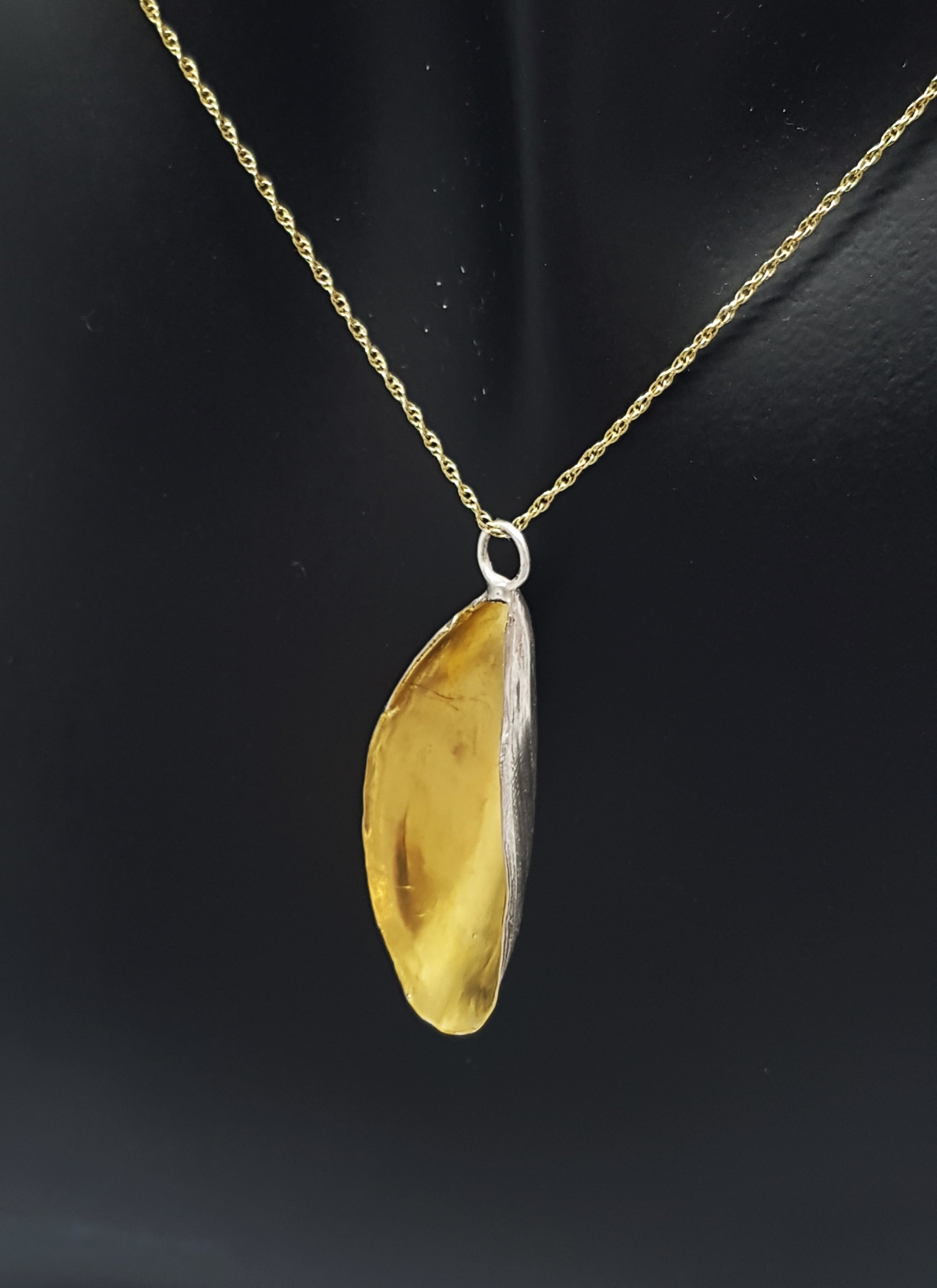 Mussel Shell only - Gold and Silver