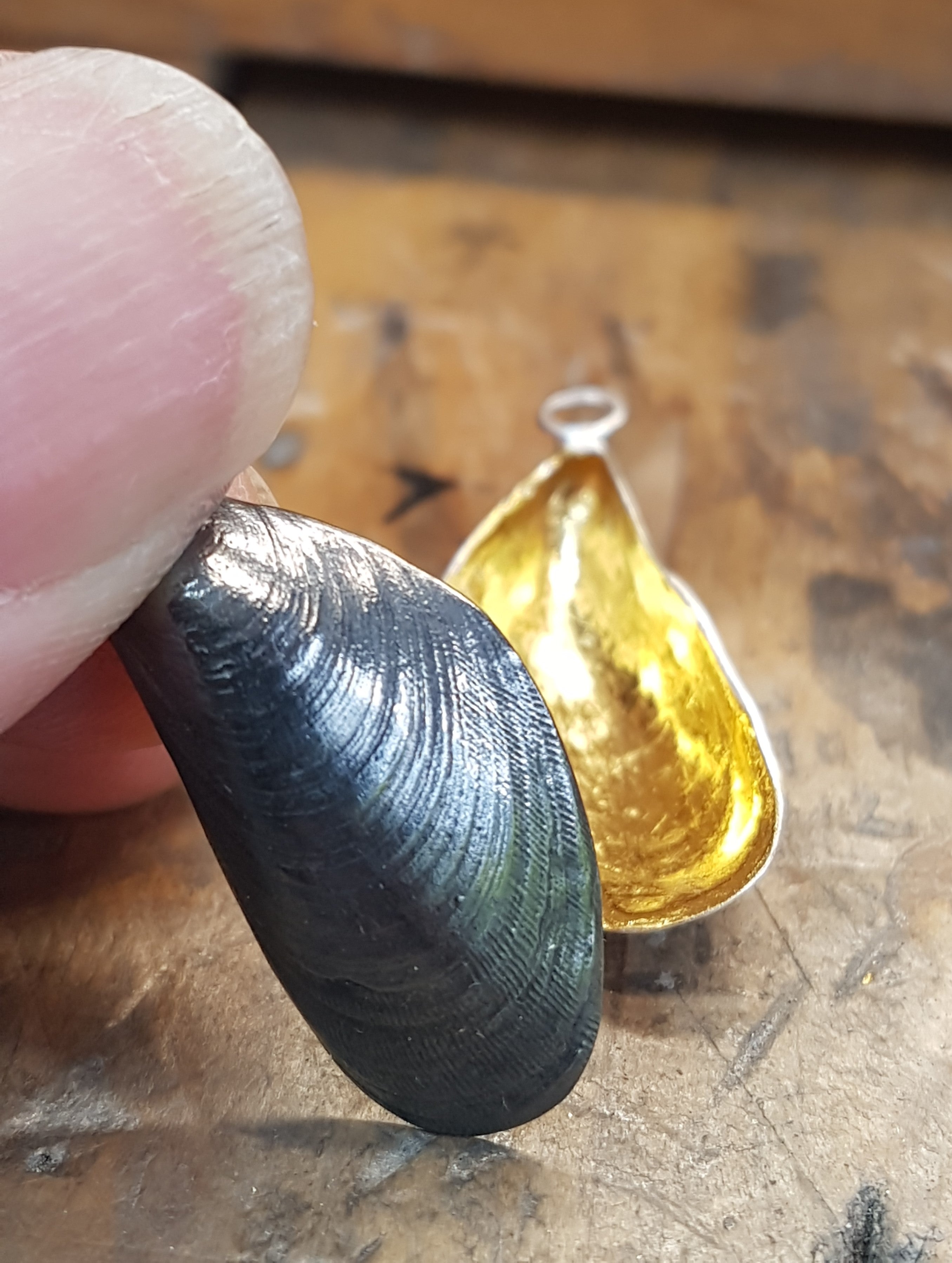 Mussel Shell Earrings - Gold and Black
